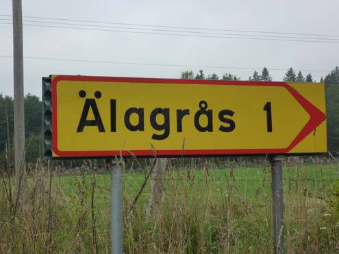 Älagrås