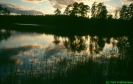 Enesjön