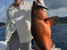 Panama 2015